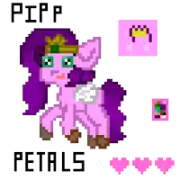 a pixel art of a pink and purple pony with the name pipp petals