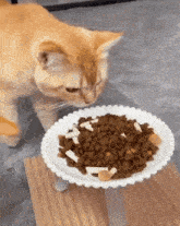 a cat is eating food from a white plate .