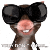 a cartoon hamster wearing sunglasses is smiling and saying `` they don 't know ... '' .