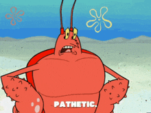 a cartoon of a lobster with the word pathetic written on it