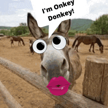 a donkey has a speech bubble that says i 'm onkey donkey