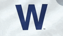 a blue letter w is on a white surface