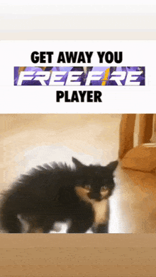 a picture of a cat with the words get away you freefire player