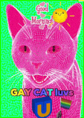 a pink cat with the words gay cat luvs written on the bottom
