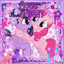 a picture of twilight sparkle and pinkie pie with the words good night on it