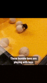 a bumble bee is playing with toys on a yellow table