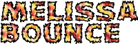 the name melissa bounce is written in flames