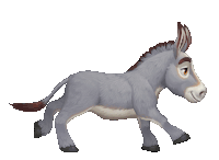 a donkey with a brown mane and tail is running on a white background