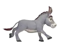 a donkey with a brown mane and tail is running on a white background