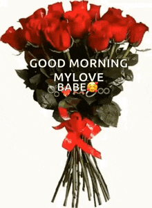 a bouquet of red roses with a red ribbon and a good morning message .